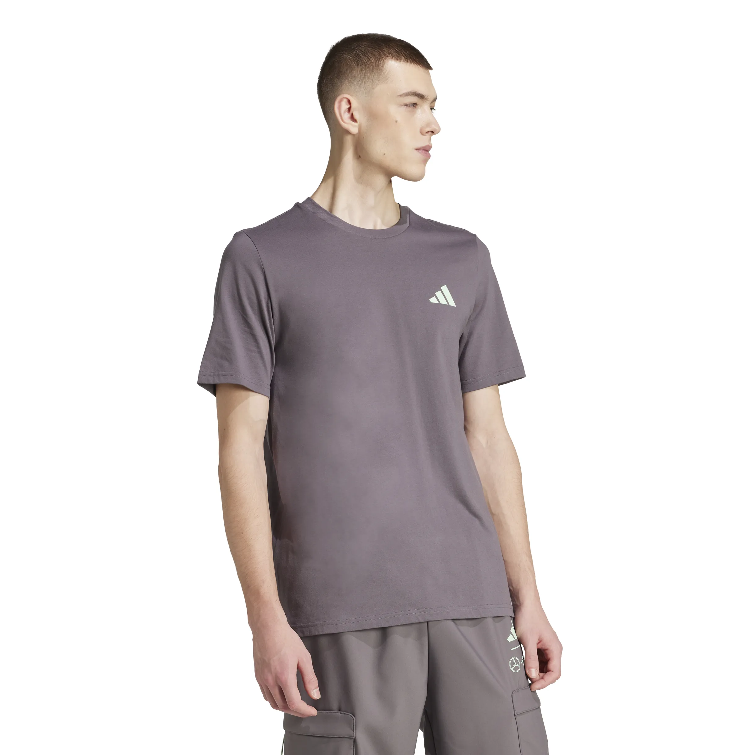 adidas Men's Mercedes - AMG Petronas Formula One Team Premium Woven Graphic T-Shirt