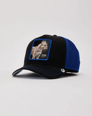 Goorin Bros Flex On Ya Trucker Hat