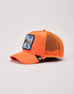 Goorin Bros Sea Turtle Trucker Hat