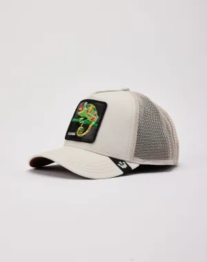 Goorin Bros The Karma Chameleon Trucker Hat