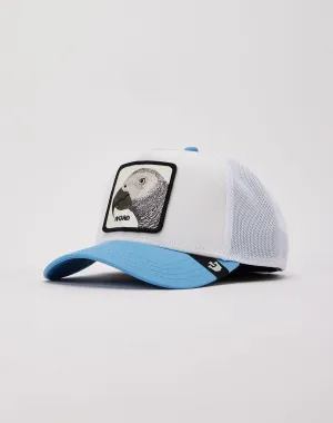Goorin Bros The Word Parrot Trucker Hat