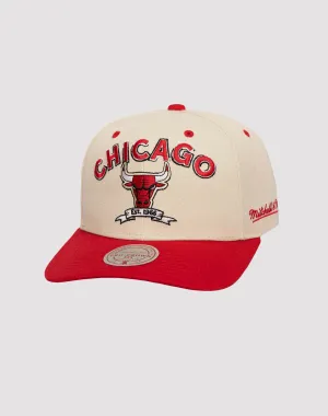 Mitchell & Ness Chicago Bulls NBA Defined Snapback Hat