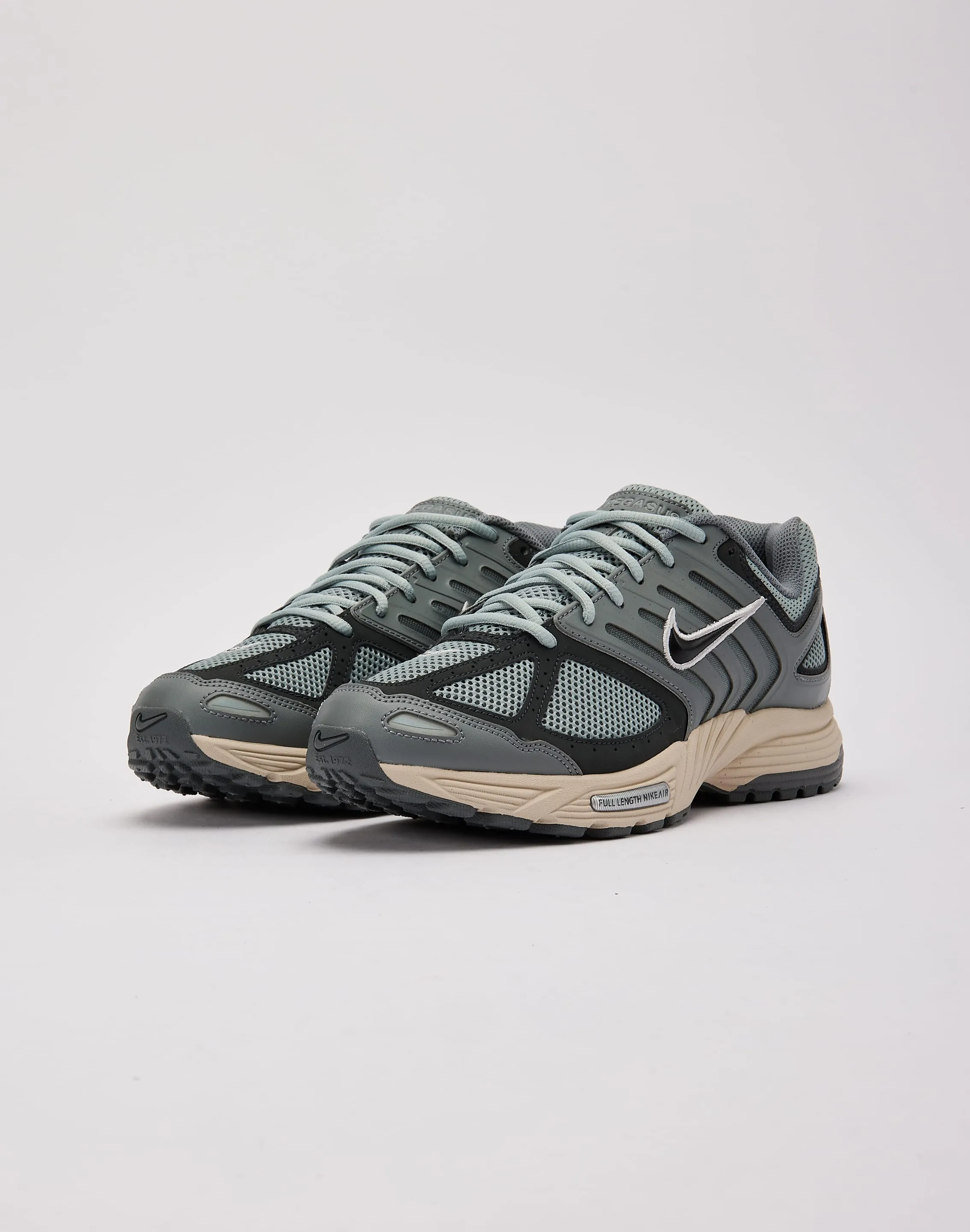 Nike Air Pegasus 2005