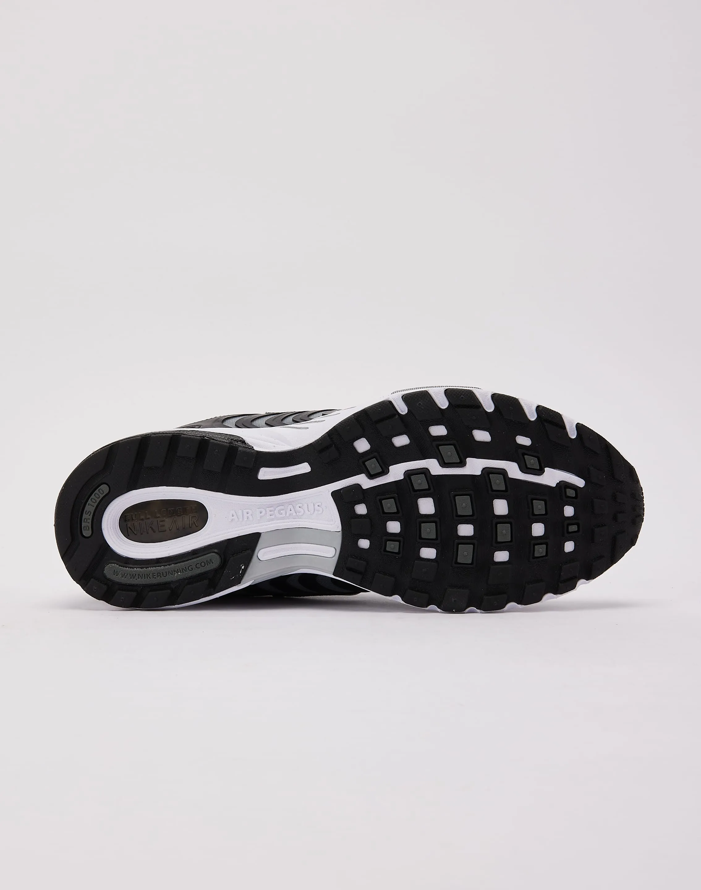 Nike Air Pegasus 2005