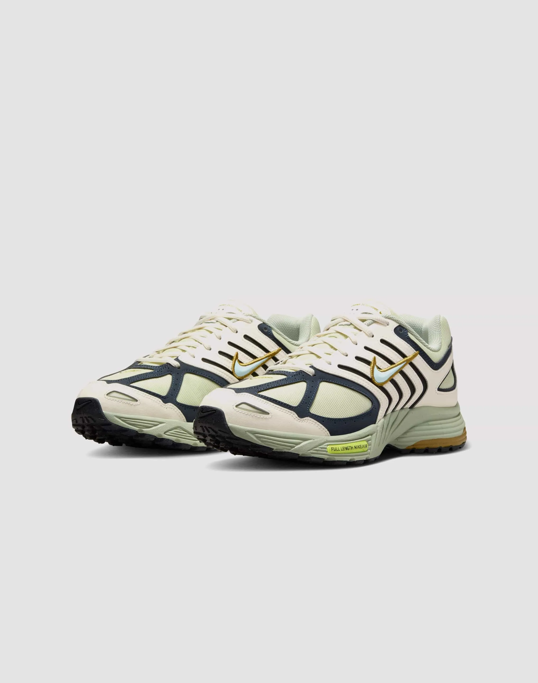 Nike Air Pegasus 2005