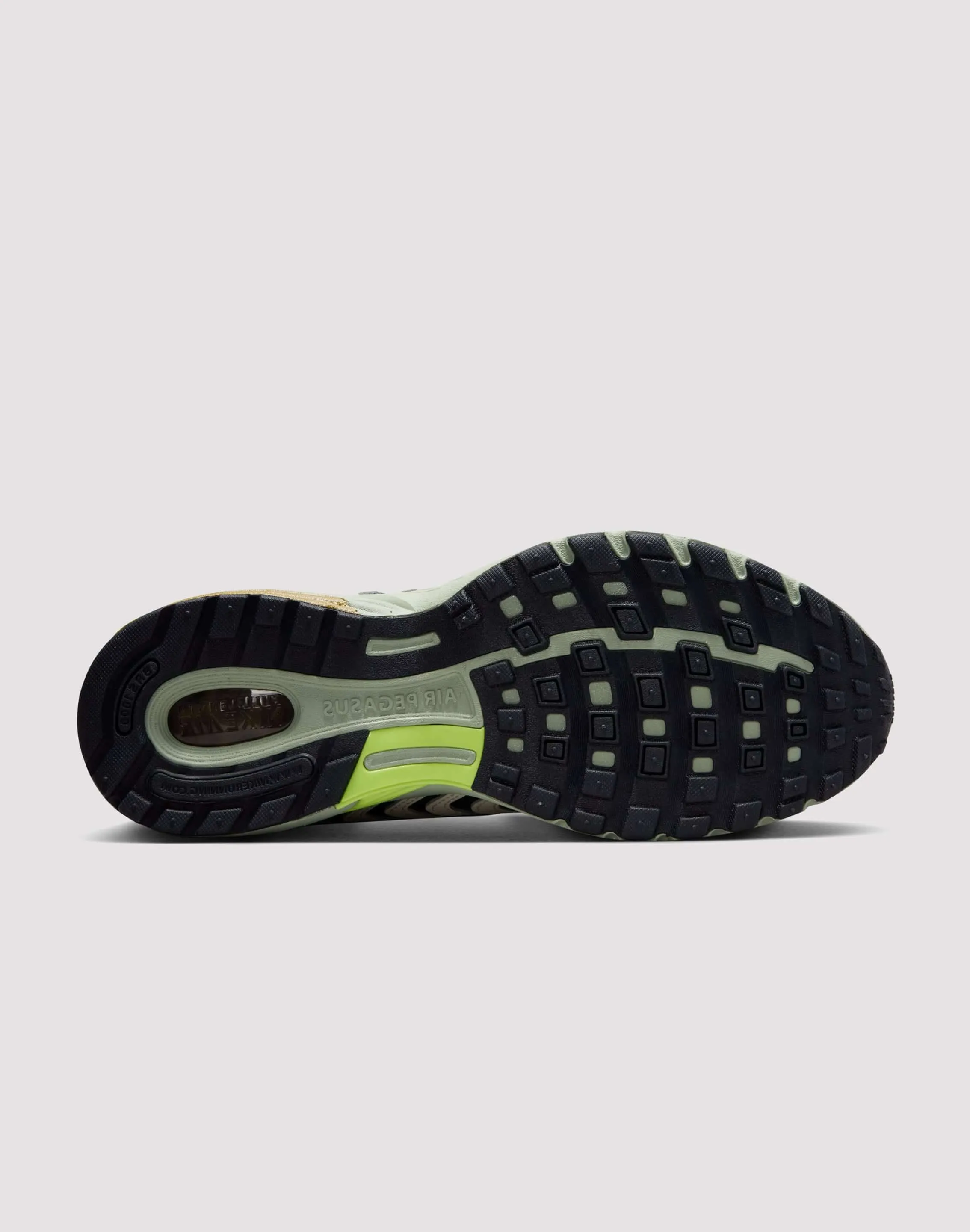 Nike Air Pegasus 2005