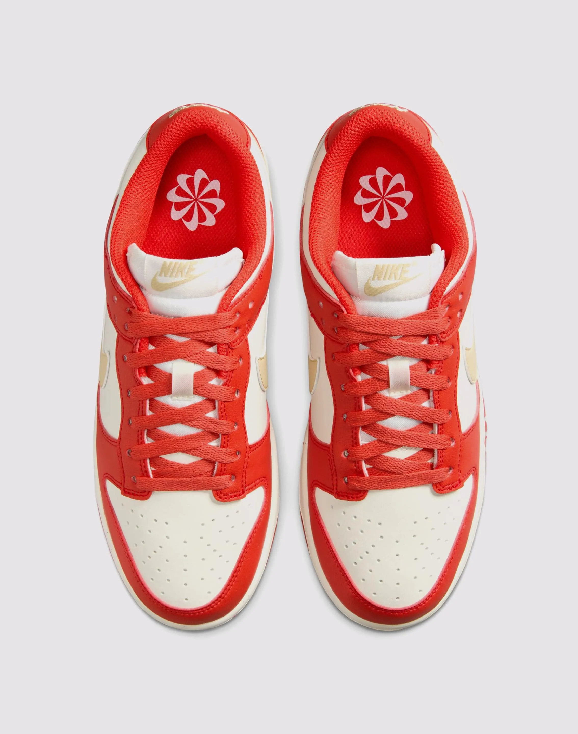 Nike Dunk Low Next Nature
