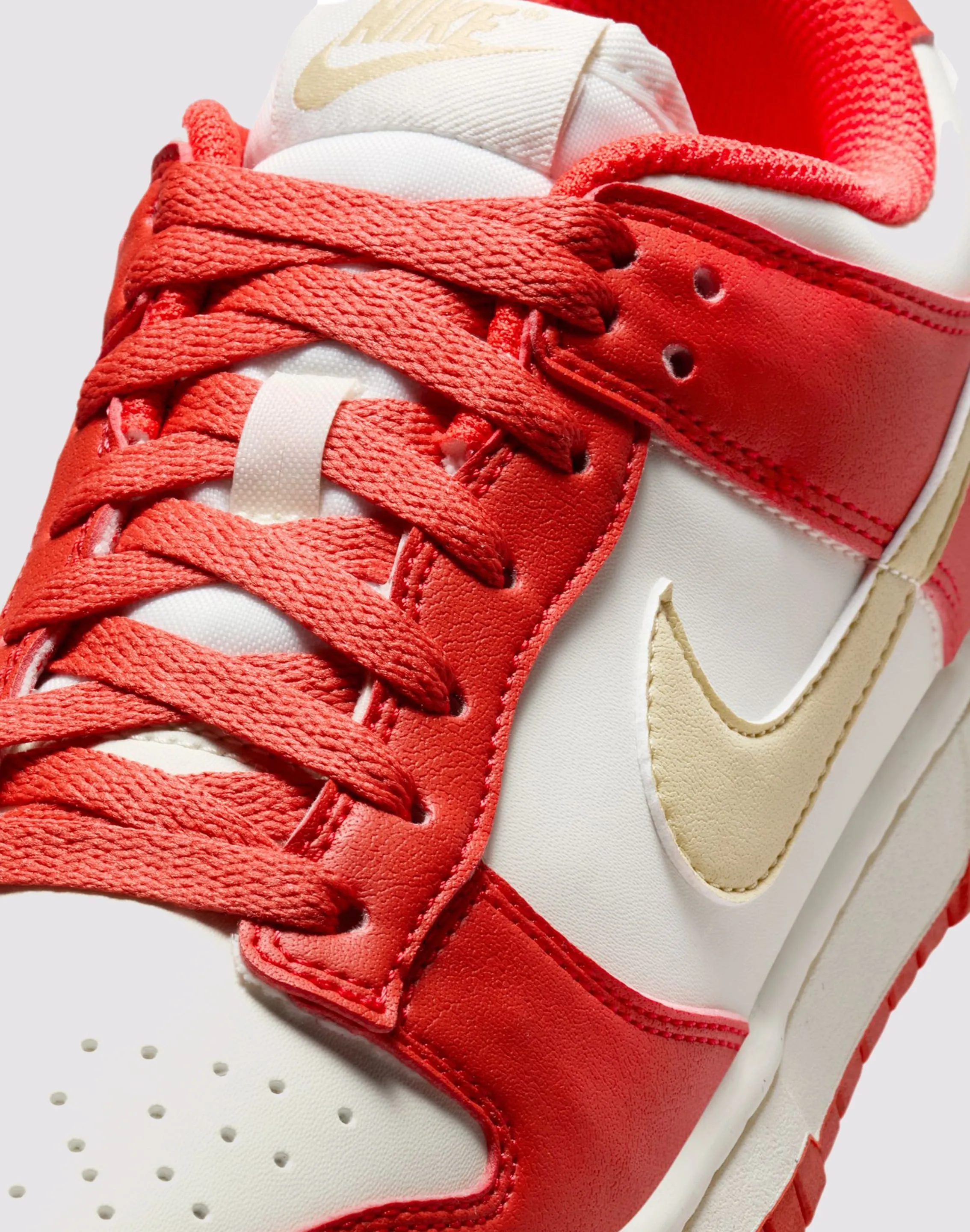 Nike Dunk Low Next Nature