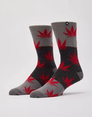 Odd Sox Maple Leaf Crew Socks