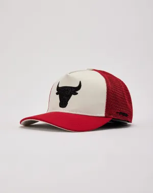 Pro Standard  Chicago Bulls Trucker Hat