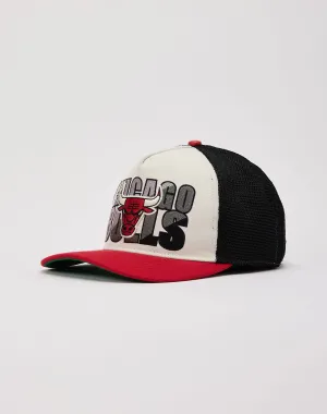 Pro Standard Chicago Bulls Trucker Hat