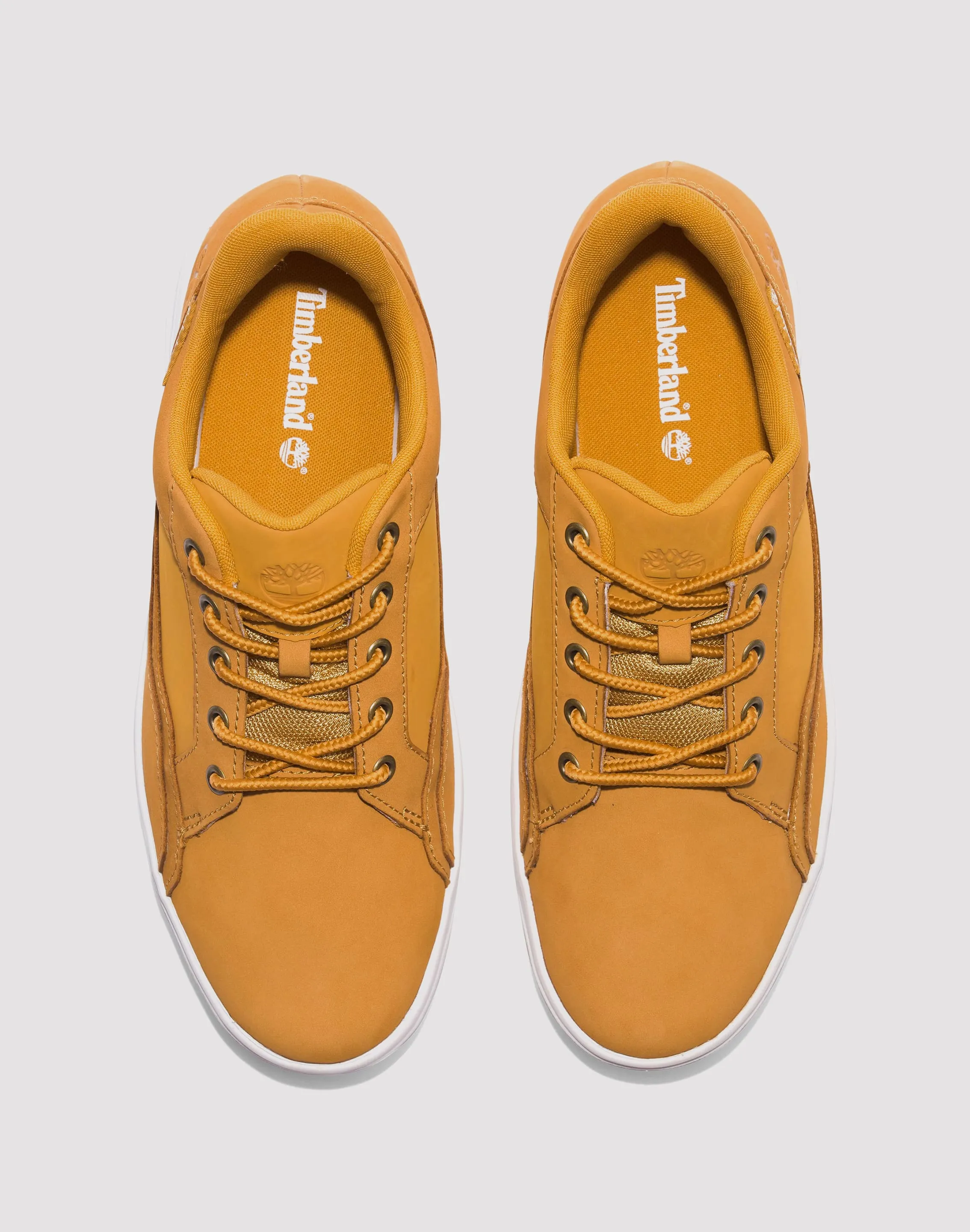 Timberland Allston Low Lace Up Sneaker